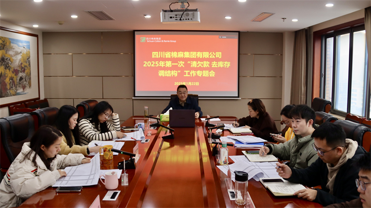 集團公司召開2025年第一次“清欠款、去庫存、調結構”工作專題會