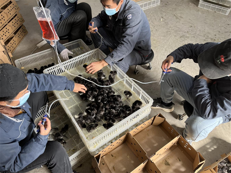 不負(fù)春光加油干   “孵化”發(fā)展新動(dòng)能