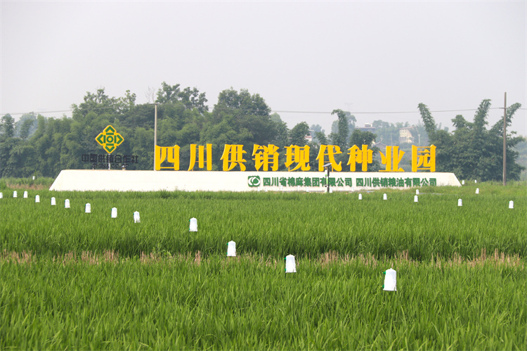 1657019906901077.jpg IMG_7998.jpg