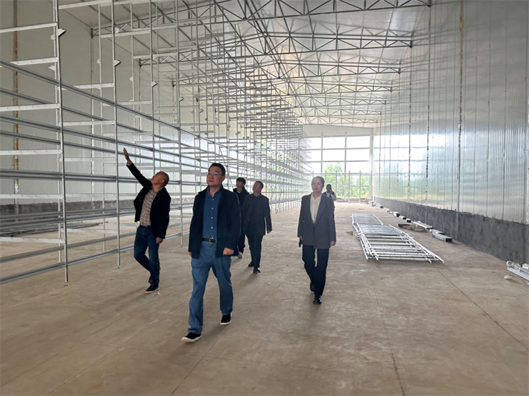 1698370151396937.jpg 5.jpg