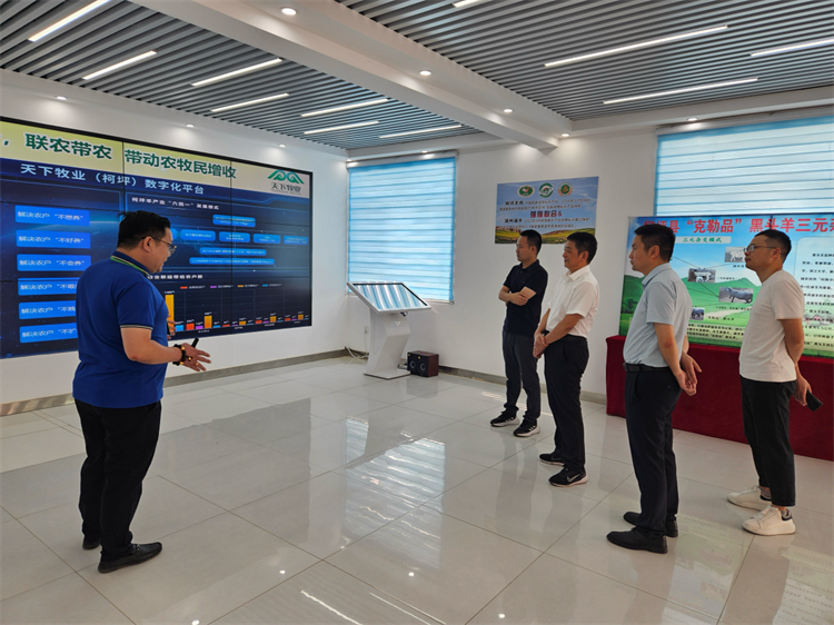 1724396212699196.png 圖片1.png